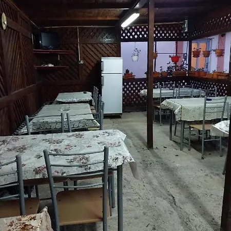 Pensiunea Coralia Guest house Schitu